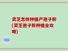 灵芝怎样种植产孢子粉(灵芝孢子粉种植全攻略)