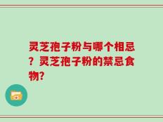 灵芝孢子粉与哪个相忌？灵芝孢子粉的禁忌食物？