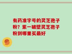 有药准字号的灵芝孢子粉？紫一破壁灵芝孢子粉到哪里买最好