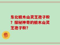 东北椴木山灵芝孢子粉？探秘神奇的椴木山灵芝孢子粉？