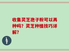 收集灵芝孢子粉可以再种吗？灵芝种植技巧详解？