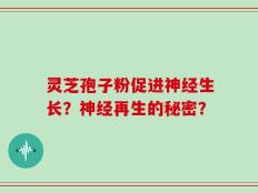 灵芝孢子粉促进神经生长？神经再生的秘密？