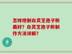 怎样炮制白灵芝孢子粉最好？白灵芝孢子粉制作方法详解？
