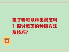孢子粉可以种出灵芝吗？探讨灵芝的种植方法及技巧？