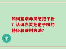 如何鉴别赤灵芝孢子粉？认识赤灵芝孢子粉的特征和鉴别方法？