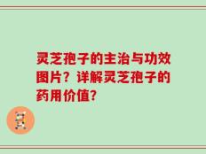 灵芝孢子的主治与功效图片？详解灵芝孢子的药用价值？