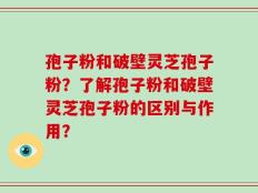 孢子粉和破壁灵芝孢子粉？了解孢子粉和破壁灵芝孢子粉的区别与作用？