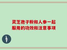 灵芝孢子粉和人参一起服用的功效和注意事项