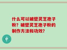 什么可以破壁灵芝孢子粉？破壁灵芝孢子粉的制作方法和功效？