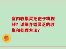 室内收集灵芝孢子粉视频？详细介绍灵芝的收集和处理方法？