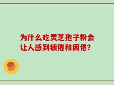 为什么吃灵芝孢子粉会让人感到疲倦和困倦？