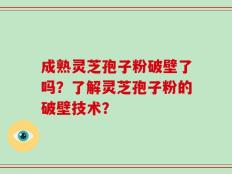 成熟灵芝孢子粉破壁了吗？了解灵芝孢子粉的破壁技术？