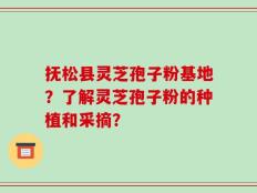 抚松县灵芝孢子粉基地？了解灵芝孢子粉的种植和采摘？