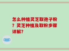 怎么种植灵芝取孢子粉？灵芝种植及取粉步骤详解？