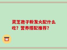 灵芝孢子粉发火配什么吃？营养搭配推荐？