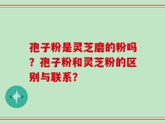 孢子粉是灵芝磨的粉吗？孢子粉和灵芝粉的区别与联系？