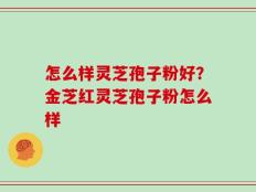 怎么样灵芝孢子粉好？金芝红灵芝孢子粉怎么样