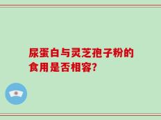 尿蛋白与灵芝孢子粉的食用是否相容？