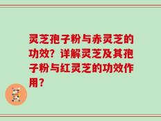 灵芝孢子粉与赤灵芝的功效？详解灵芝及其孢子粉与红灵芝的功效作用？