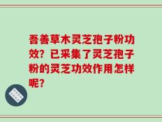吾善草木灵芝孢子粉功效？已采集了灵芝孢子粉的灵芝功效作用怎样呢？