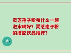 灵芝孢子粉和什么一起泡水喝好？灵芝孢子粉的搭配饮品推荐？
