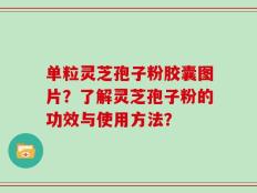 单粒灵芝孢子粉胶囊图片？了解灵芝孢子粉的功效与使用方法？
