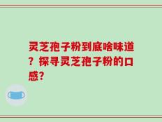 灵芝孢子粉到底啥味道？探寻灵芝孢子粉的口感？
