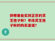 到哪里能买到正宗的灵芝孢子粉？寻找灵芝孢子粉的购买渠道？