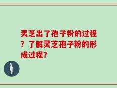 灵芝出了孢子粉的过程？了解灵芝孢子粉的形成过程？