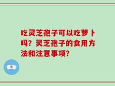 吃灵芝孢子可以吃萝卜吗？灵芝孢子的食用方法和注意事项？