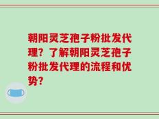 朝阳灵芝孢子粉批发代理？了解朝阳灵芝孢子粉批发代理的流程和优势？