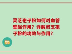灵芝孢子粉如何对血管壁起作用？详解灵芝孢子粉的功效与作用？