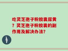 吃灵芝孢子粉胶囊尿黄？灵芝孢子粉胶囊的副作用及解决办法？