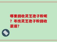 哪里回收灵芝孢子粉呢？寻找灵芝孢子粉回收渠道？