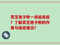 灵芝孢子粉一周后反应？了解灵芝孢子粉的作用与反应情况？