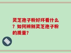 灵芝孢子粉好坏看什么？如何辨别灵芝孢子粉的质量？