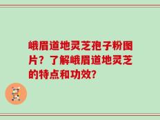 峨眉道地灵芝孢子粉图片？了解峨眉道地灵芝的特点和功效？
