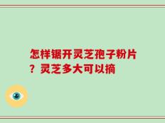 怎样锯开灵芝孢子粉片？灵芝多大可以摘