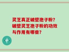 灵芝真正破壁孢子粉？破壁灵芝孢子粉的功效与作用有哪些？