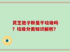 灵芝孢子粉是干垃圾吗？垃圾分类知识解析？