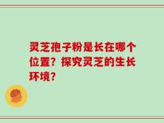 灵芝孢子粉是长在哪个位置？探究灵芝的生长环境？