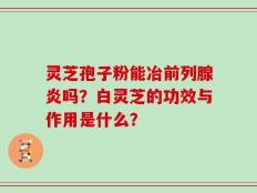 灵芝孢子粉能冶前列腺炎吗？白灵芝的功效与作用是什么？