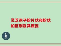 灵芝孢子粉片状和粉状的区别及其原因