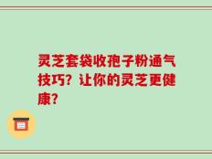 灵芝套袋收孢子粉通气技巧？让你的灵芝更健康？