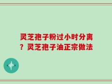 灵芝孢子粉过小时分离？灵芝孢子油正宗做法