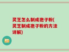 灵芝怎么制成孢子粉(灵芝制成孢子粉的方法详解)