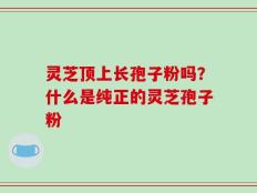 灵芝顶上长孢子粉吗？什么是纯正的灵芝孢子粉