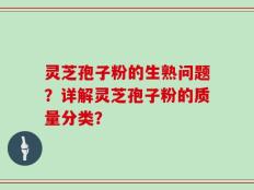 灵芝孢子粉的生熟问题？详解灵芝孢子粉的质量分类？