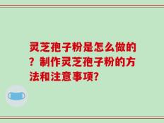 灵芝孢子粉是怎么做的？制作灵芝孢子粉的方法和注意事项？