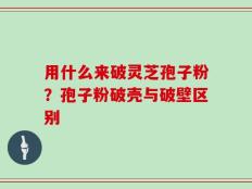 用什么来破灵芝孢子粉？孢子粉破壳与破壁区别